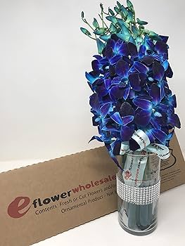 【dydoshop】BLUE ORCHID SET Amazon.com: Icons Blue Orchid Ideas Flowers Building Block